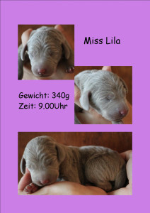 MissLila