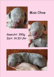 MissOhne