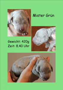 MisterGrn