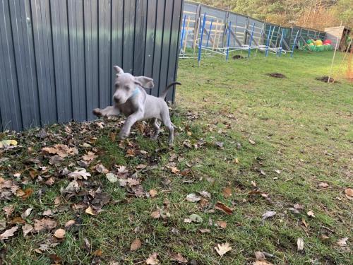 image00013