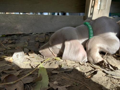 image00002