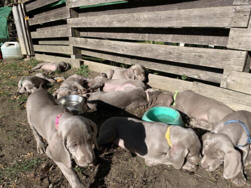 image00008
