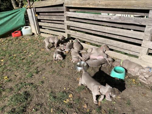 image00012