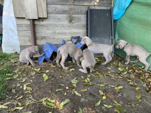 image00019