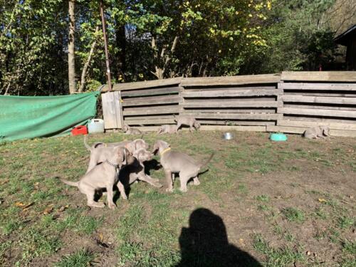 image00020