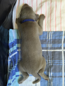 thumb IMG 0186 1024
