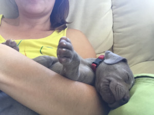 thumb IMG 0241 1024