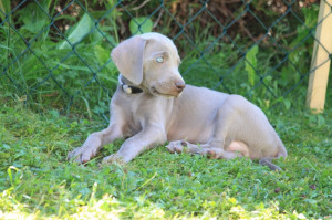 thumb IMG 6713 1024