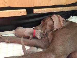 UNADJUSTEDNONRAW thumb 3cc6